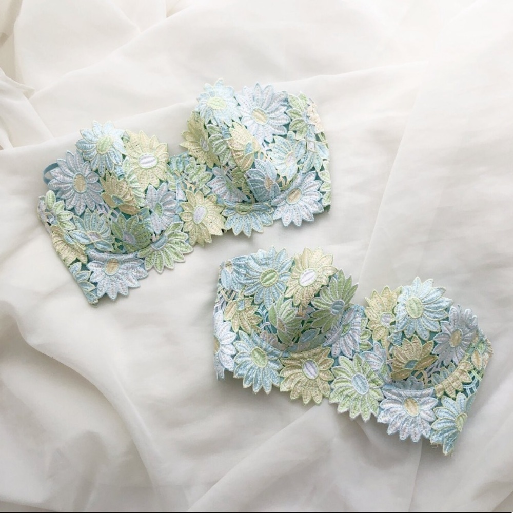 Sororite Vintage Flower Embroidered Lace Bustier